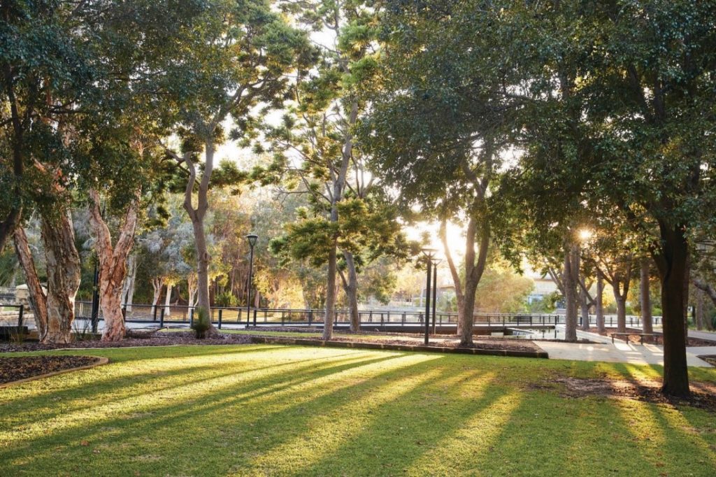 A sunlit park with green grass, tall trees, and a paved walkway leading to a lake with railings and lampposts