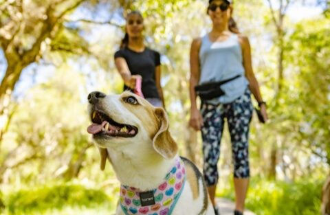 ladies walking dog at park