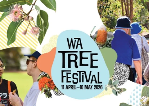 tree festival logo